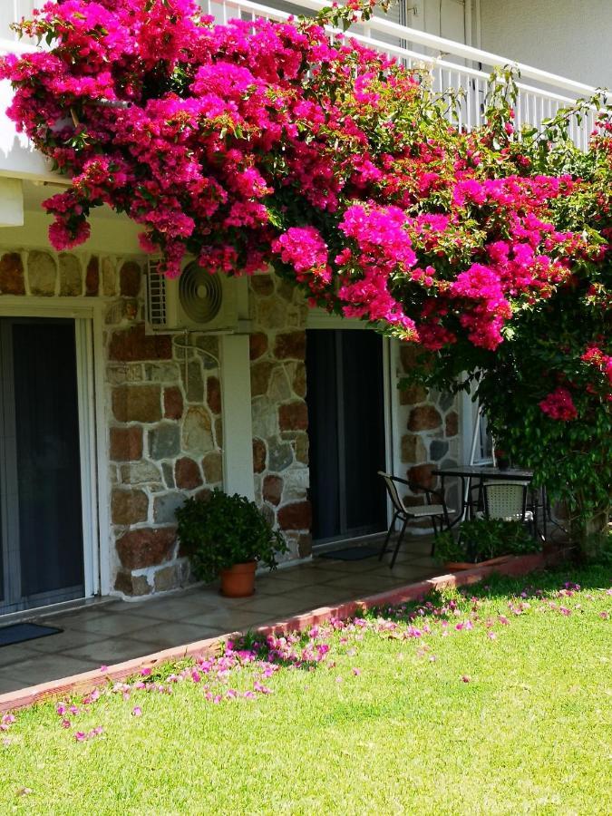 Sea&Sun Glyfada Apartment 雅典 外观 照片