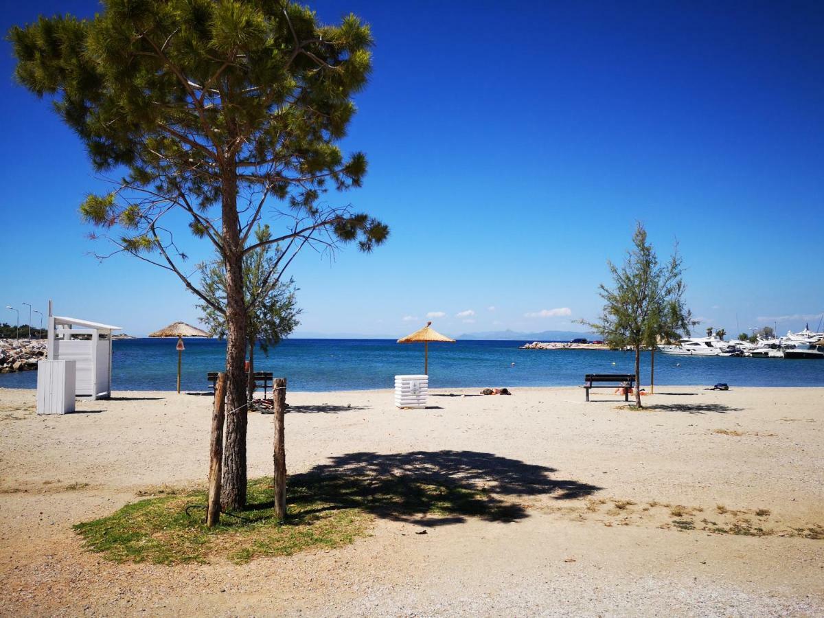 Sea&Sun Glyfada Apartment 雅典 外观 照片